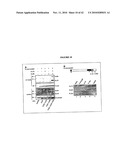 Hox Compositions and Methods diagram and image