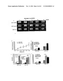 Hox Compositions and Methods diagram and image