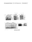 Hox Compositions and Methods diagram and image