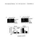 Hox Compositions and Methods diagram and image