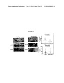 Hox Compositions and Methods diagram and image