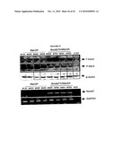 Hox Compositions and Methods diagram and image