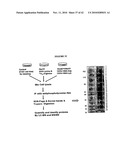 Hox Compositions and Methods diagram and image