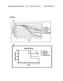 Immunosuppressive Extract Of Cordyceps Sinensis And Uses Thereof diagram and image