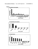 Immunosuppressive Extract Of Cordyceps Sinensis And Uses Thereof diagram and image