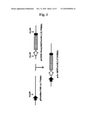 Baculovirus-Based Vaccines diagram and image