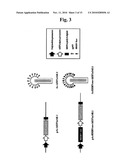 Baculovirus-Based Vaccines diagram and image