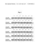 Baculovirus-Based Vaccines diagram and image