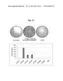 Baculovirus-Based Vaccines diagram and image