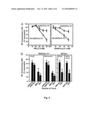 Cytomegalovirus Vaccines and Methods of Production diagram and image