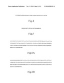 MEDICAMENT FOR TREATMENT OF TUMORS AND THE USE THEREOF diagram and image