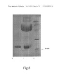 MEDICAMENT FOR TREATMENT OF TUMORS AND THE USE THEREOF diagram and image