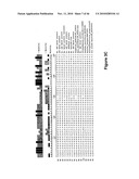 COMPOSITIONS AND METHODS FOR THE DELIVERY OF OXYGEN diagram and image