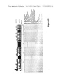 COMPOSITIONS AND METHODS FOR THE DELIVERY OF OXYGEN diagram and image