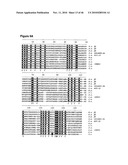 COMPOSITIONS AND METHODS FOR THE DELIVERY OF OXYGEN diagram and image