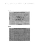 SHORT NUCLEIC ACID MOLECULE-MEDIATED MODULATION OF AURORA B KINASE EXPRESSION AND COMBINATIONS FOR USE IN ANTICANCER THERAPY diagram and image