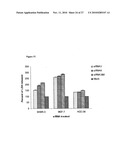 SHORT NUCLEIC ACID MOLECULE-MEDIATED MODULATION OF AURORA B KINASE EXPRESSION AND COMBINATIONS FOR USE IN ANTICANCER THERAPY diagram and image