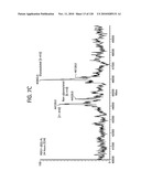 FGF21 MUTANTS AND USES THEREOF diagram and image