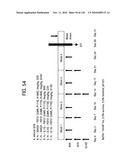 FGF21 MUTANTS AND USES THEREOF diagram and image