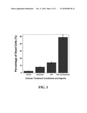 COMPOSITIONS COMPRISING NANOPARTICLES AND APOPTOTIC AGENTS AND METHODS OF USE diagram and image