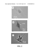 COMPOSITIONS COMPRISING NANOPARTICLES AND APOPTOTIC AGENTS AND METHODS OF USE diagram and image