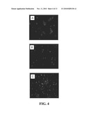 COMPOSITIONS COMPRISING NANOPARTICLES AND APOPTOTIC AGENTS AND METHODS OF USE diagram and image