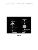 COMPOSITIONS COMPRISING NANOPARTICLES AND APOPTOTIC AGENTS AND METHODS OF USE diagram and image