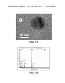 COMPOSITIONS COMPRISING NANOPARTICLES AND APOPTOTIC AGENTS AND METHODS OF USE diagram and image