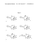 POLYMER-EPOTHILONE CONJUGATES, PARTICLES, COMPOSITIONS, AND RELATED METHODS OF USE diagram and image