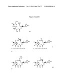 POLYMER-EPOTHILONE CONJUGATES, PARTICLES, COMPOSITIONS, AND RELATED METHODS OF USE diagram and image