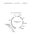 GPR 119 MODULATORS diagram and image