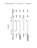 HBV precore protein capable of forming particles diagram and image