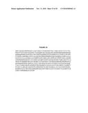 METHODS AND MATERIALS RELATED TO HAIR PIGMENTATION AND CANCER diagram and image