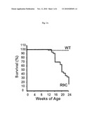 USE OF IGFBP-7 IN THE ASSESSMENT OF HEART FAILURE diagram and image