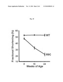 USE OF IGFBP-7 IN THE ASSESSMENT OF HEART FAILURE diagram and image