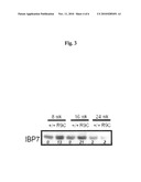 USE OF IGFBP-7 IN THE ASSESSMENT OF HEART FAILURE diagram and image