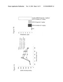 COMBINATION THERAPY FOR THE TREATMENT OF DIABETES AND CONDITIONS RELATED THERETO AND FOR THE TREATMENT OF CONDITIONS AMELIORATED BY INCREASING A BLOOD GLP-1 LEVEL diagram and image