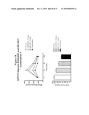 COMBINATION THERAPY FOR THE TREATMENT OF DIABETES AND CONDITIONS RELATED THERETO AND FOR THE TREATMENT OF CONDITIONS AMELIORATED BY INCREASING A BLOOD GLP-1 LEVEL diagram and image