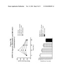 COMBINATION THERAPY FOR THE TREATMENT OF DIABETES AND CONDITIONS RELATED THERETO AND FOR THE TREATMENT OF CONDITIONS AMELIORATED BY INCREASING A BLOOD GLP-1 LEVEL diagram and image