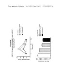 COMBINATION THERAPY FOR THE TREATMENT OF DIABETES AND CONDITIONS RELATED THERETO AND FOR THE TREATMENT OF CONDITIONS AMELIORATED BY INCREASING A BLOOD GLP-1 LEVEL diagram and image