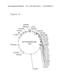 METHOD diagram and image