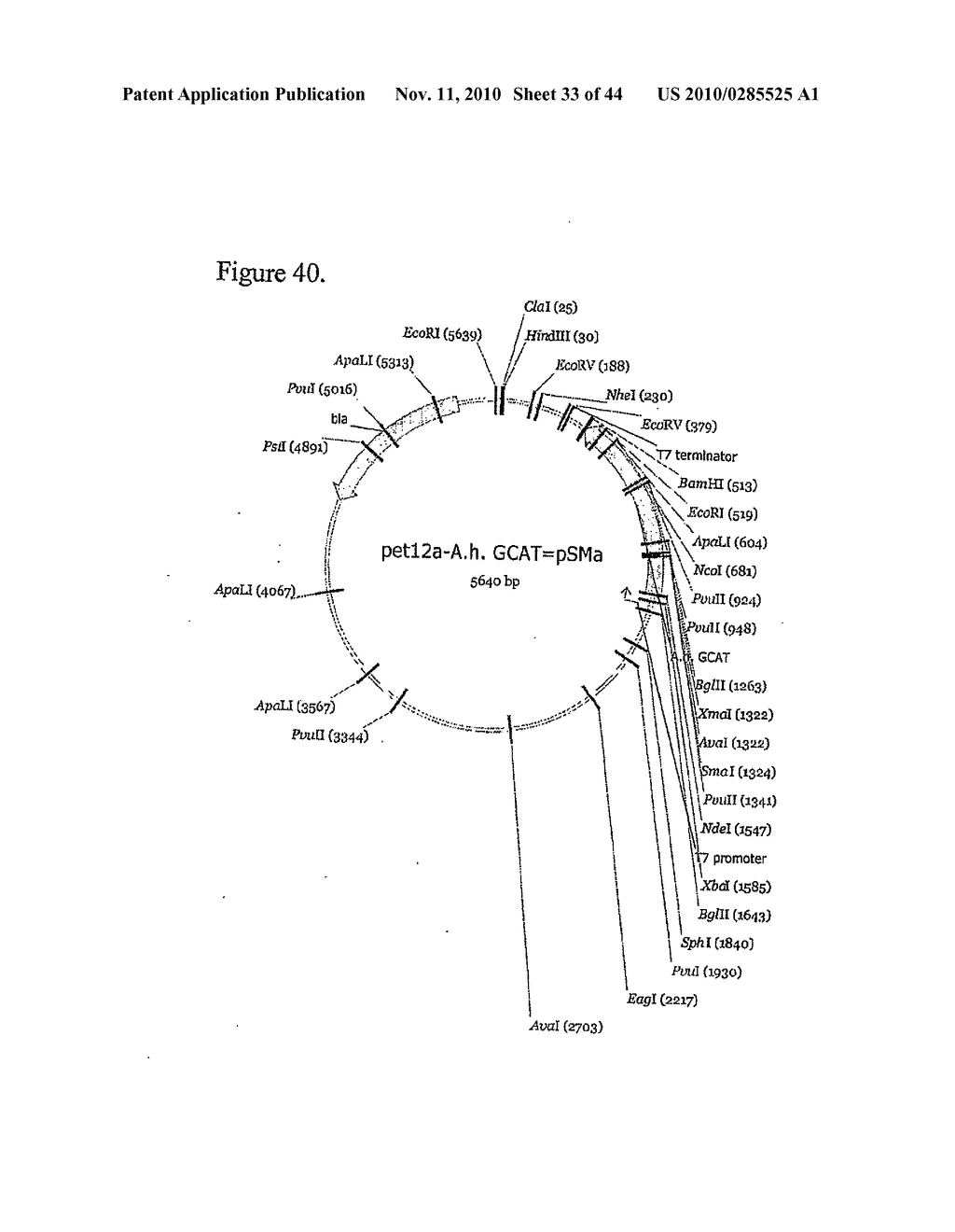 METHOD - diagram, schematic, and image 34