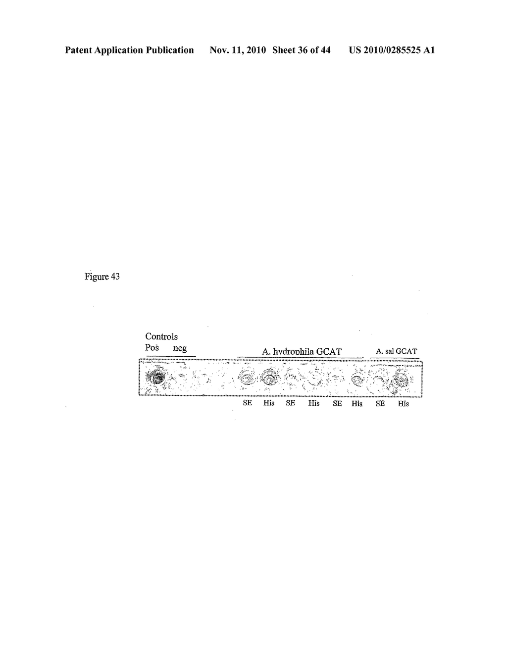 METHOD - diagram, schematic, and image 37