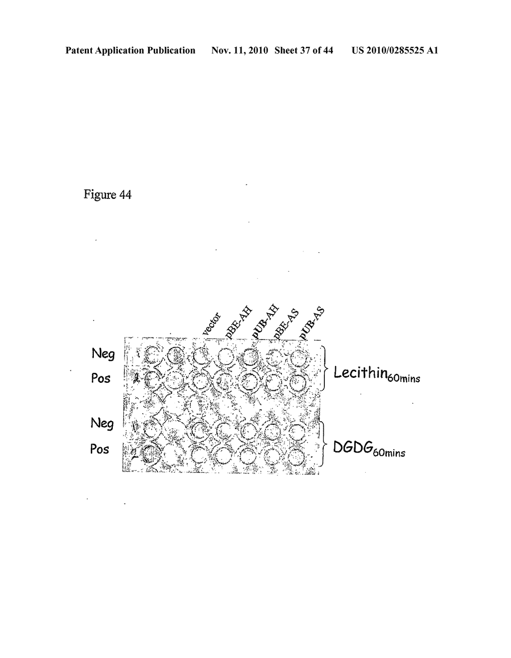 METHOD - diagram, schematic, and image 38