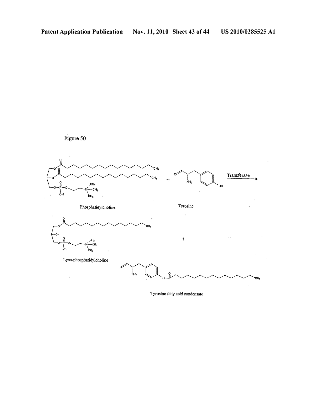 METHOD - diagram, schematic, and image 44