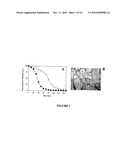 METHOD FOR EXTRACELLULAR MATRIX MEDIATED DIFFERENTIATION AND PROLIFERATION OF STEM CELLS diagram and image