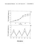 METHOD FOR EXTRACELLULAR MATRIX MEDIATED DIFFERENTIATION AND PROLIFERATION OF STEM CELLS diagram and image