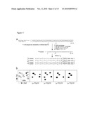 Novel Artificial Base Pairs and Uses Thereof diagram and image