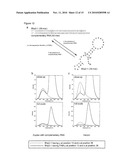 Novel Artificial Base Pairs and Uses Thereof diagram and image