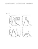 Novel Artificial Base Pairs and Uses Thereof diagram and image